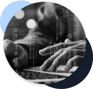 WordPress Development